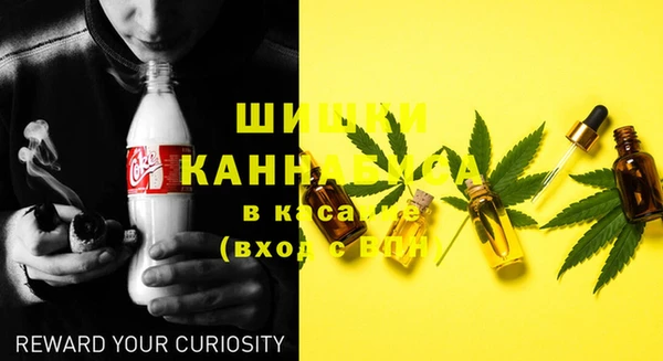 мяу мяу кристалл Гусь-Хрустальный