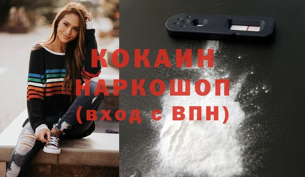 spice Горняк