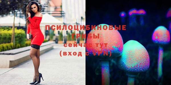 мяу мяу кристалл Гусь-Хрустальный