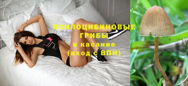 бутират Горнозаводск