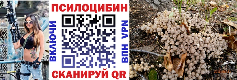 Галлюциногенные грибы Psilocybe  Купить закладки  Лысково 